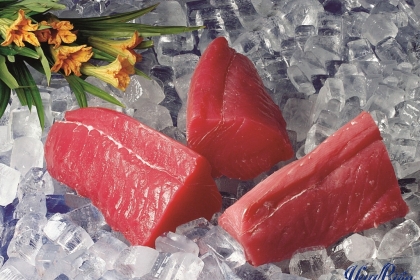 cá ngừ đại dương cá ngừ đại dương