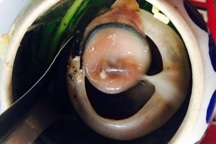 Đặc sản mắt cá ngừ đại dương Đặc sản mắt cá ngừ đại dương