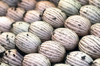 hồng kông hồng kông