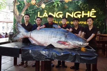 nhà hàng làng nghệ nhà hàng làng nghệ