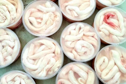 tuỷ bò  tuỷ bò